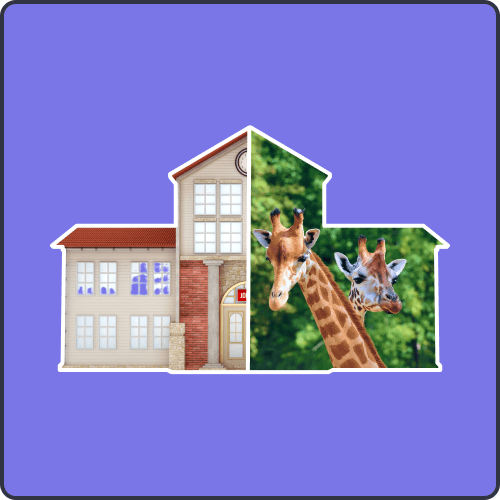 Enrich student learning experiences