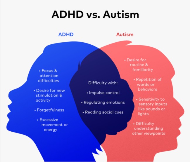 a graphic that compares the differences and overlap in behaviors between people with ADHD and Autism