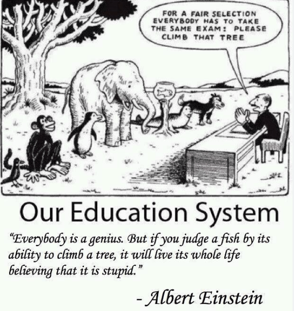 Our Education System quote by Albert Einstein depicting a classroom of animals: elephant, monkey, penguin, seal.
