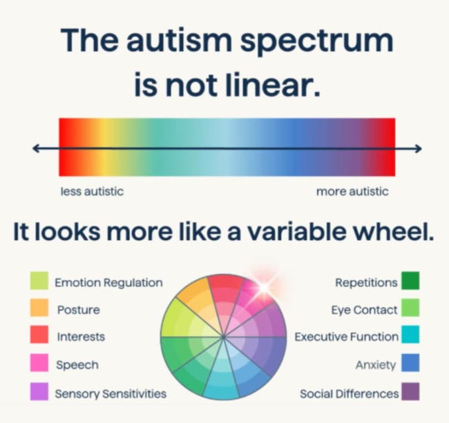 The autism spectrum is not linear