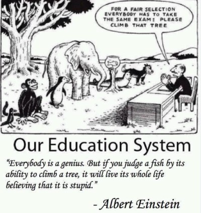 Albert Einstein quote about our education system