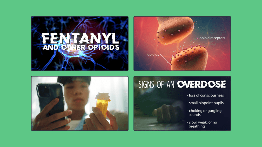 Four content highlights