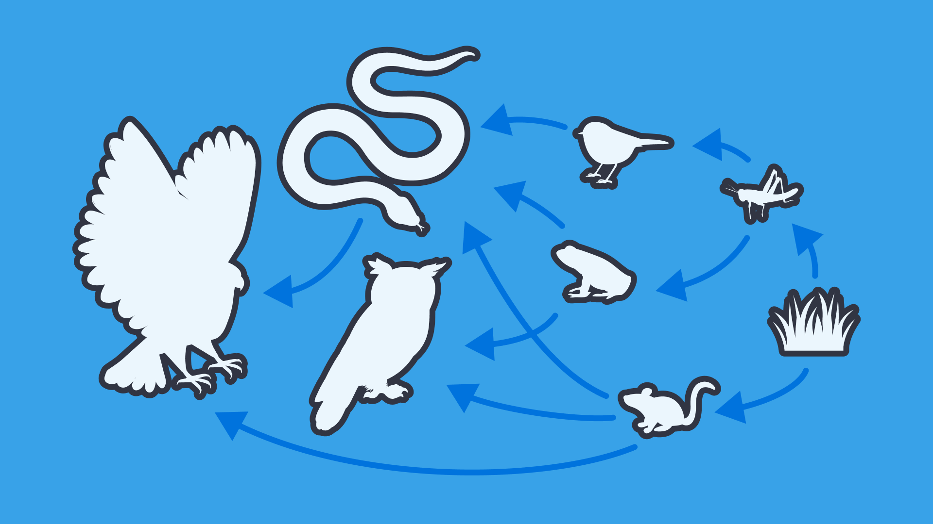 An illustration of the silhouettes of animals with arrows