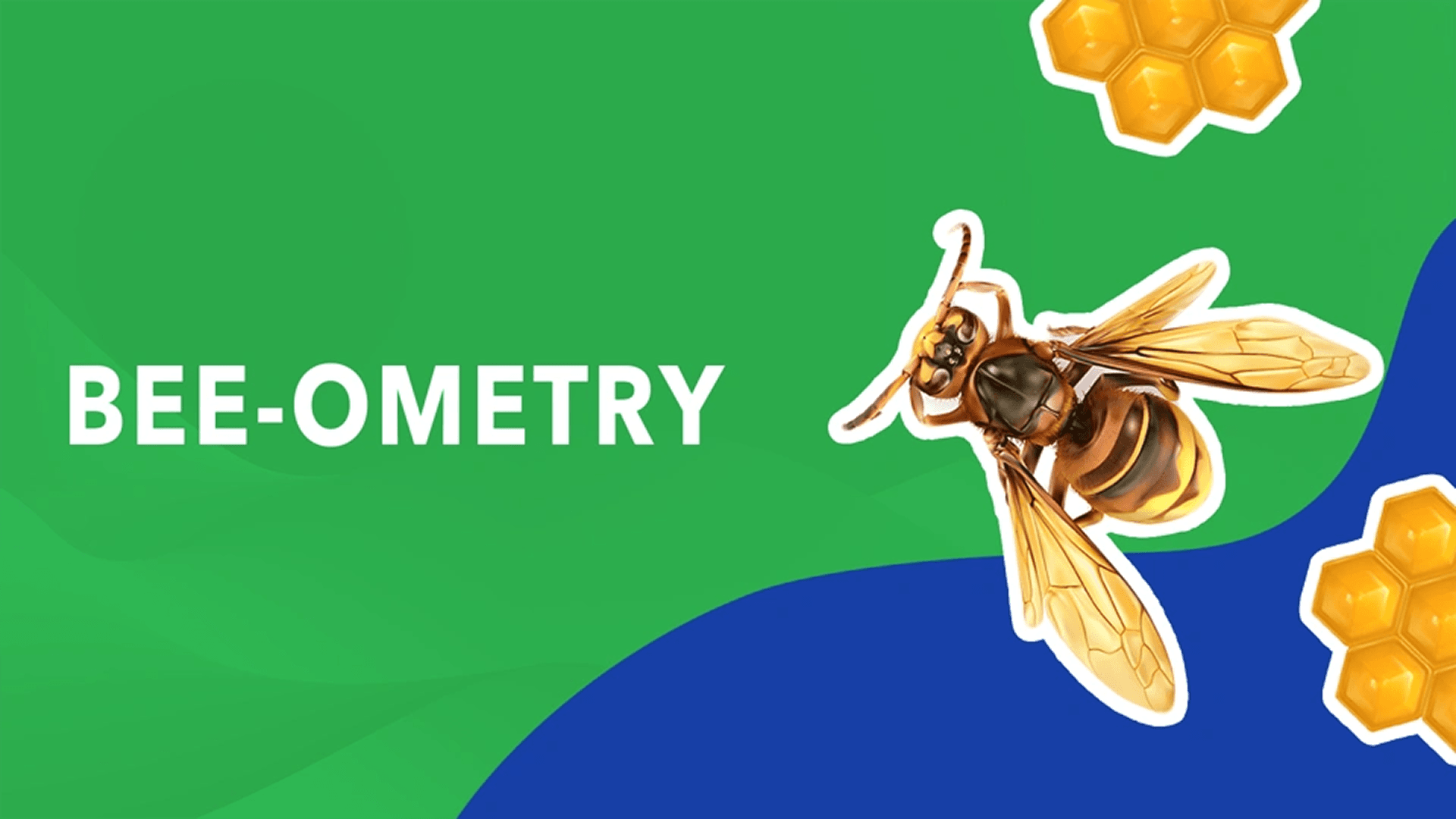 Beeometry: The Geometry of Bees