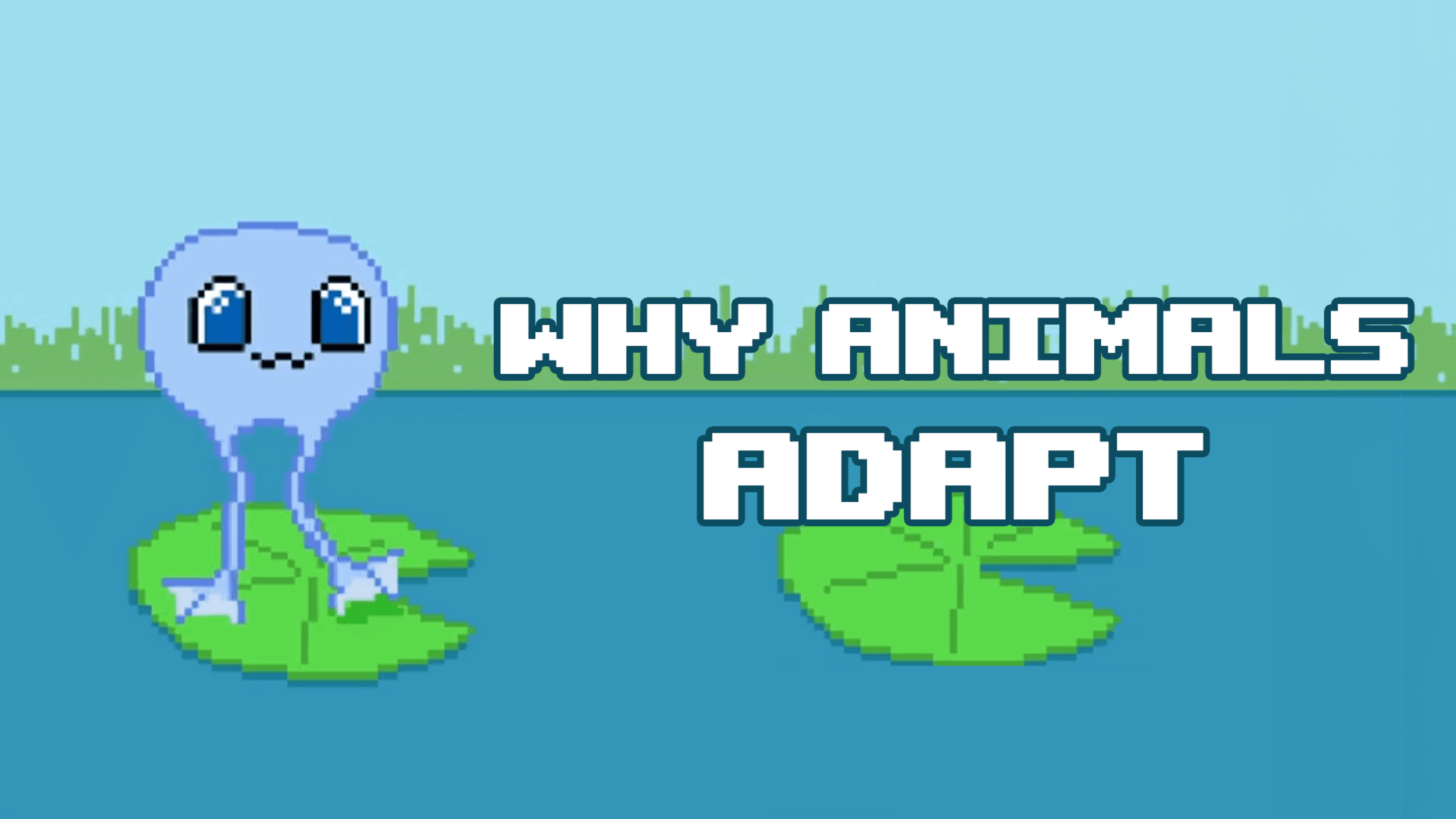 Animal Adaptations video