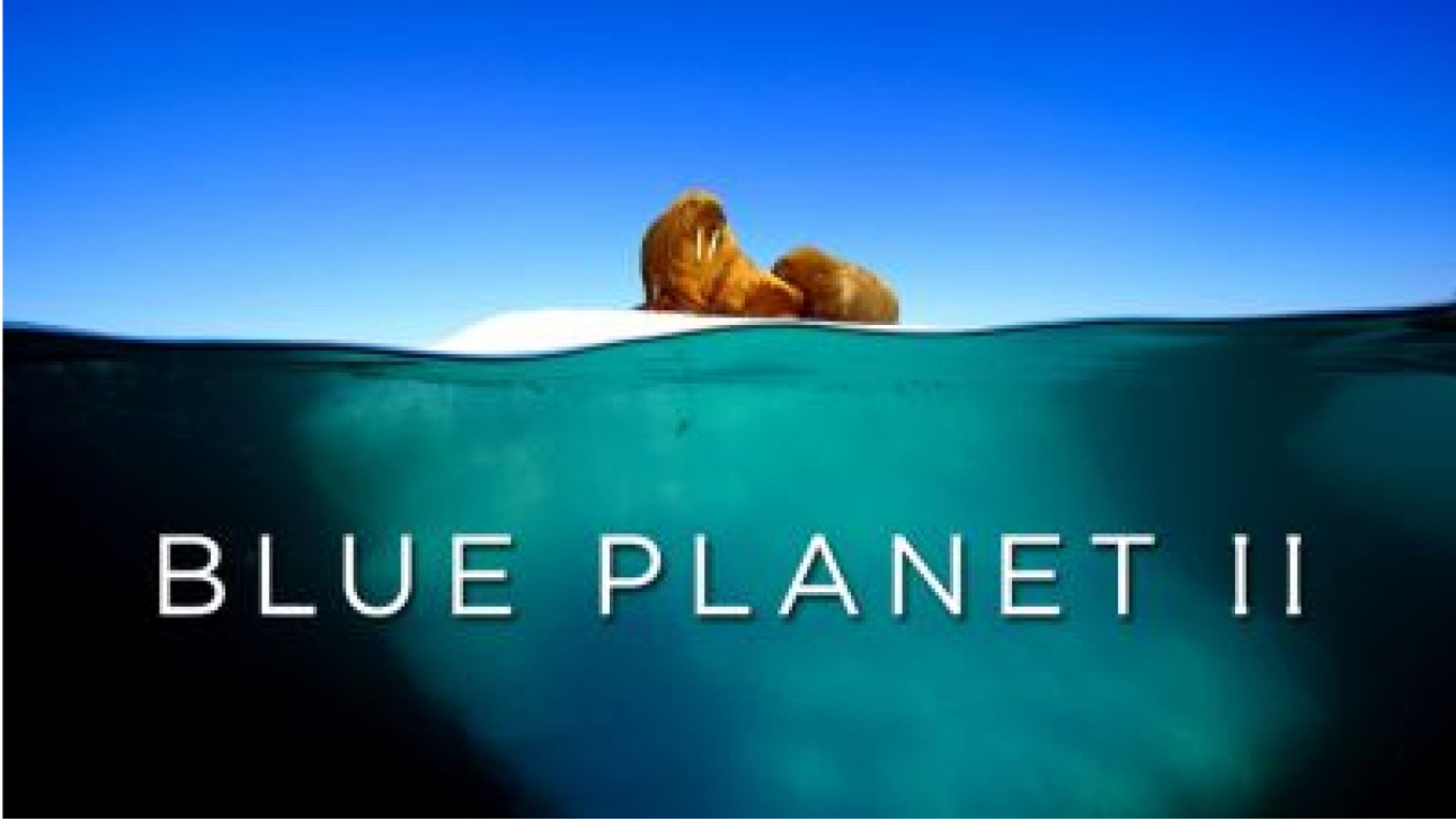 TV show thumbanil image for Blue Planet