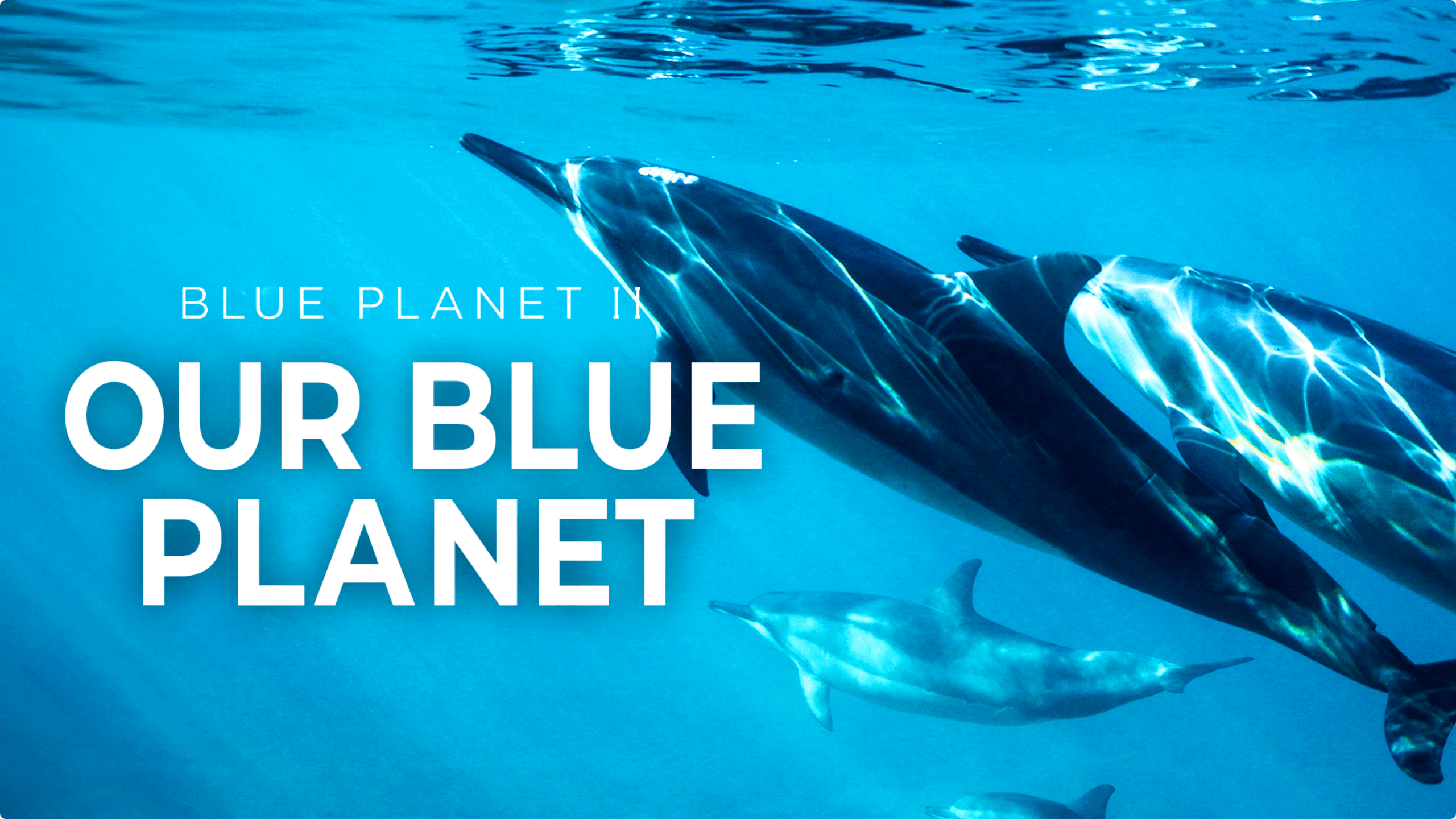 Our Blue Planet video
