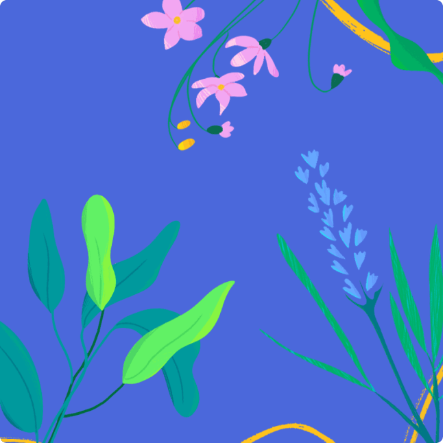 Plants video