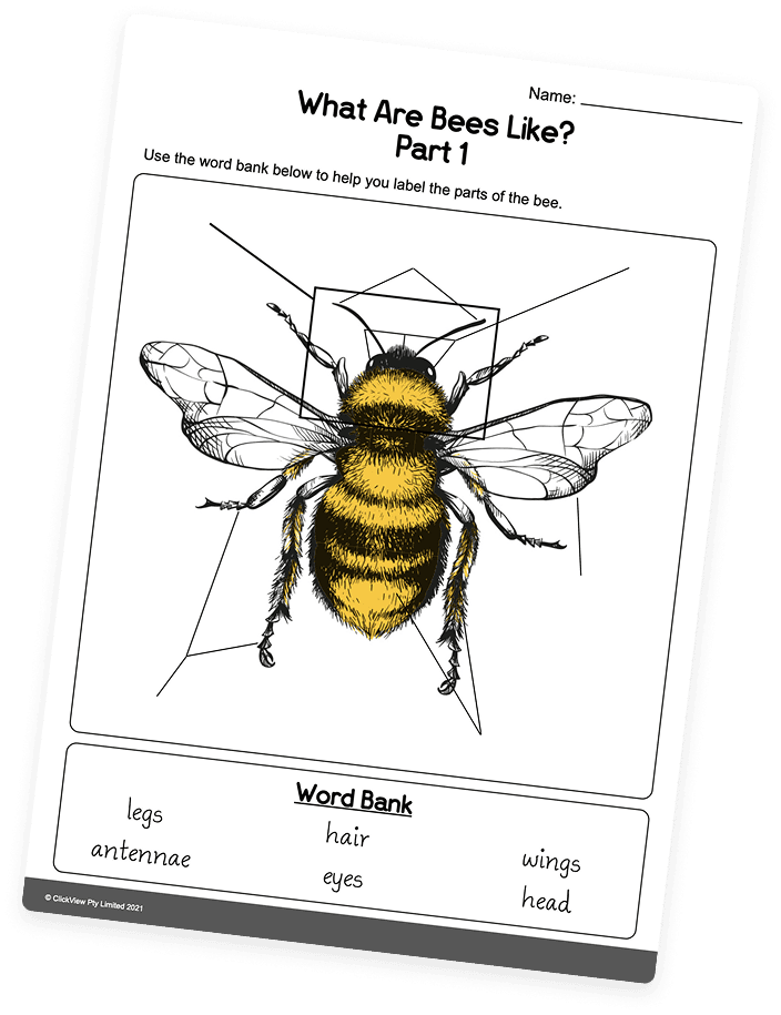 Ready to use feature right hovered