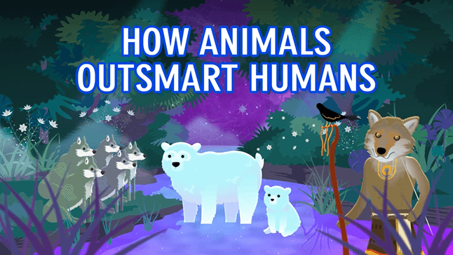 How Animals Outsmart Humans - ClickView video thumbnail