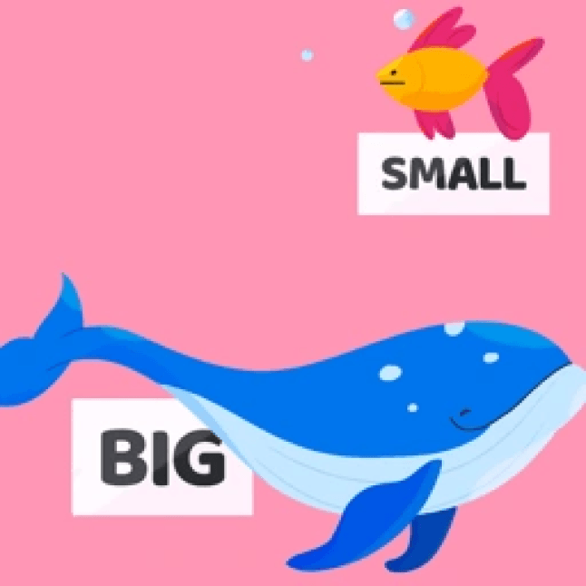 Adjectives video