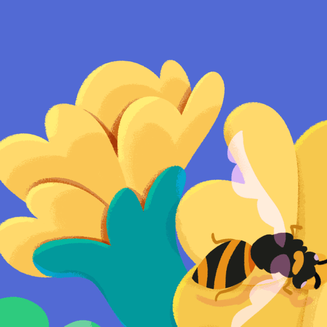 Bees video