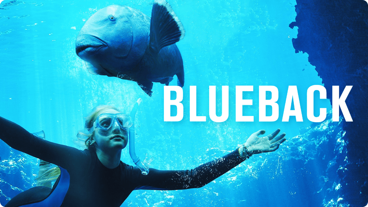 Blueback - ClickView video thumbnail