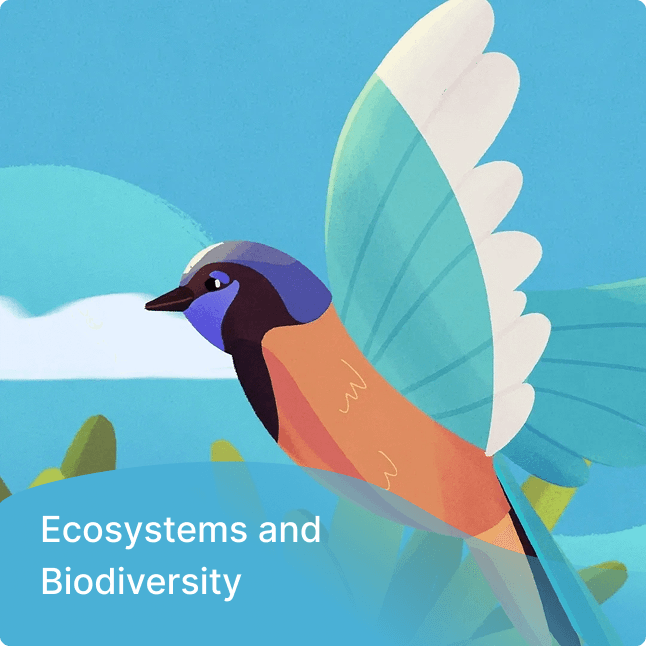 Ecosystems and Biodiversity - ClickView Topic cover