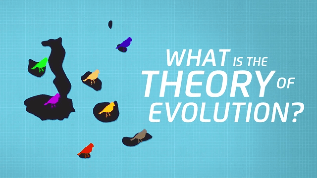 Evolution by Natural Selection video