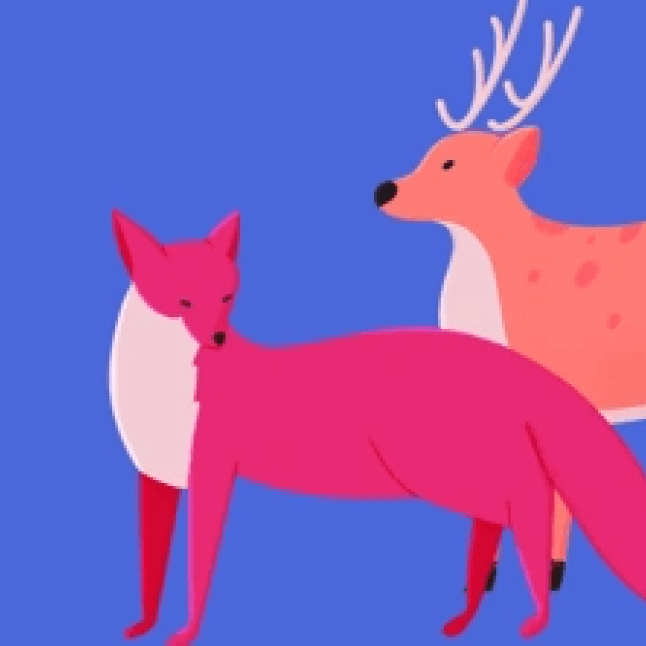 Living and Non-Living Things video