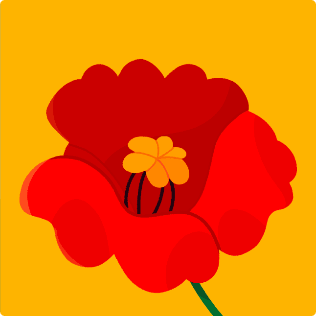 Remembrance Day video