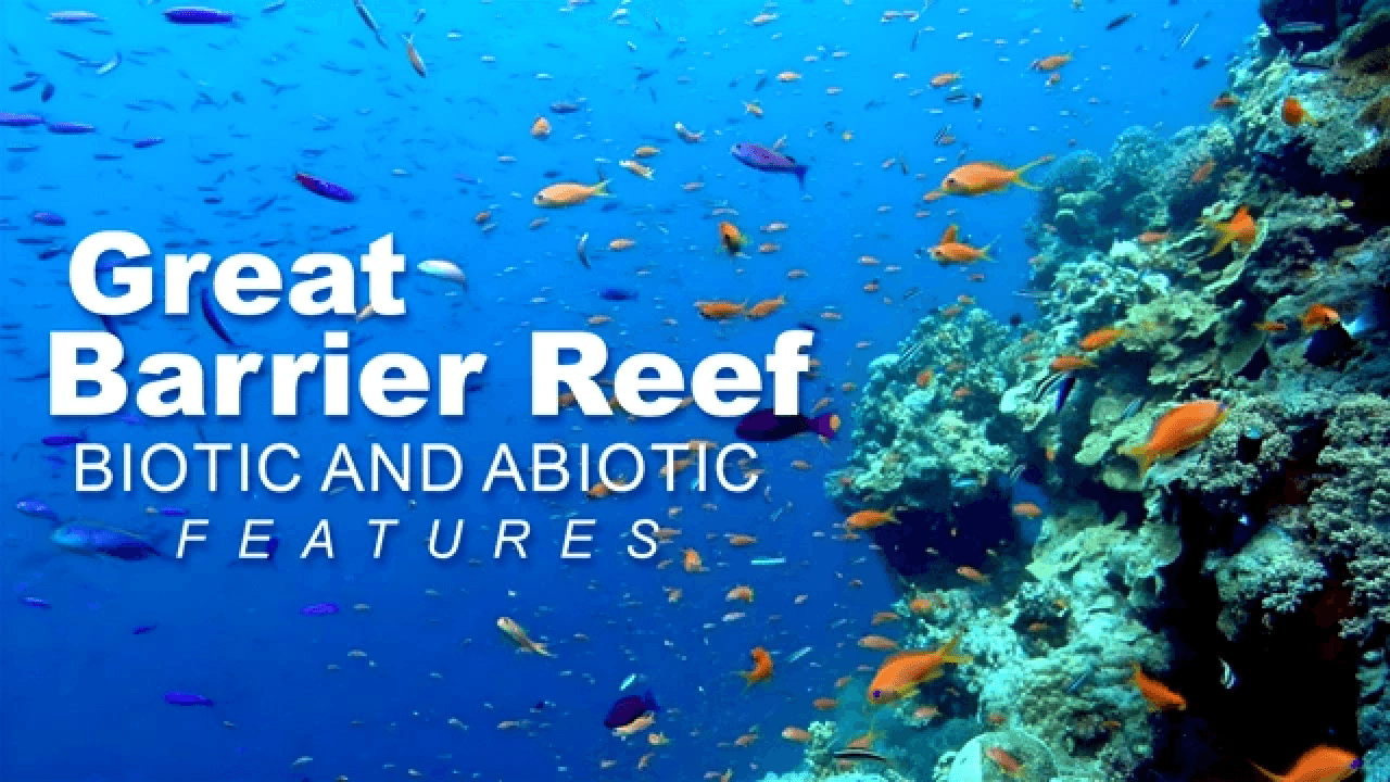 The Great Barrier Reef: A Natural Wonder video