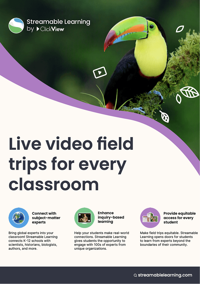 Streamable Learning flyer