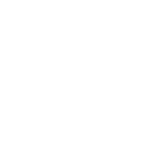 South Carolina logo