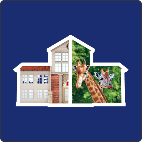 Provide equitable access for every student