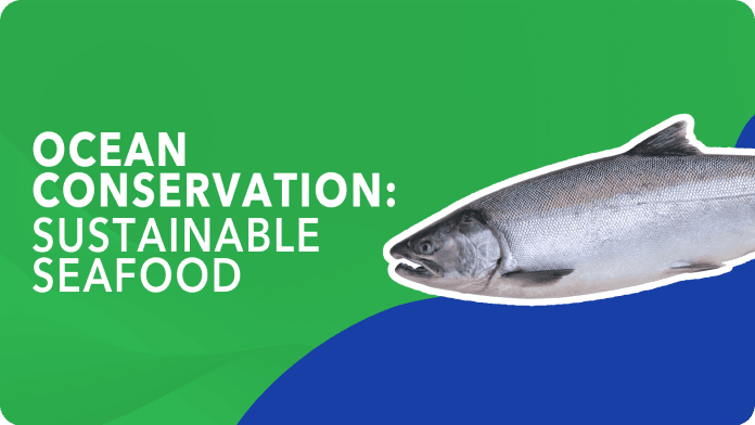 What’s on Your Plate: Sustainable Seafood and Fishing Alternatives video