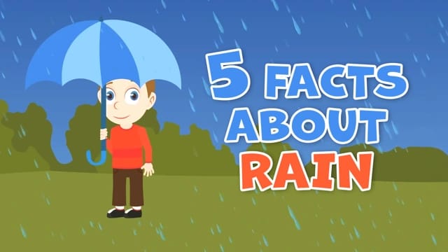 Rain