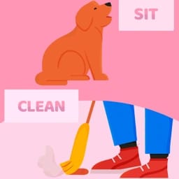 Verbs