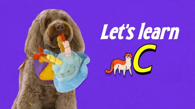 C as in Cat