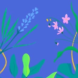 Life of Plants