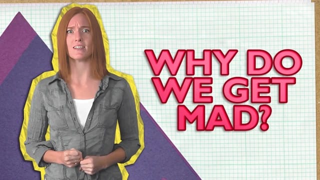 Why Do We Get Mad?