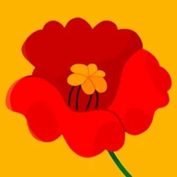 Remembrance Day