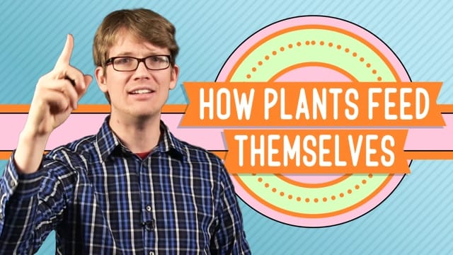 Photosynthesis