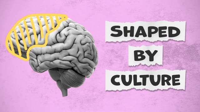Shaped by Culture