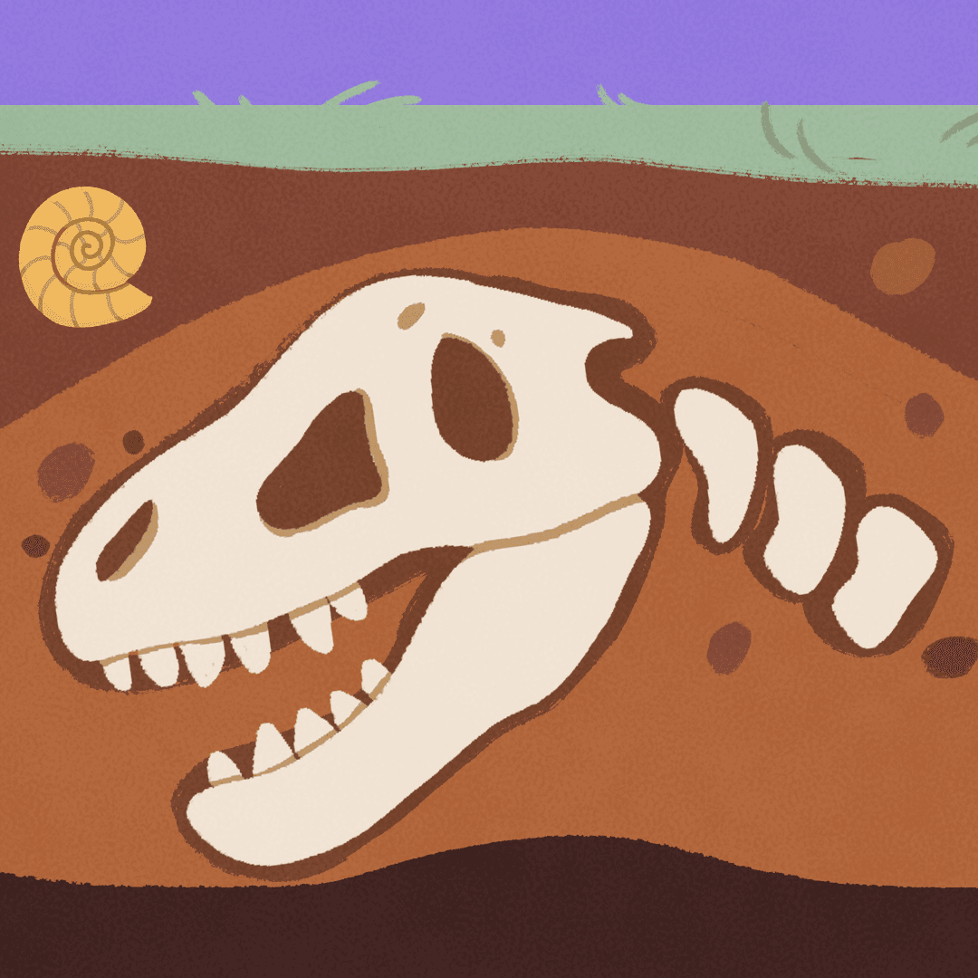fossils