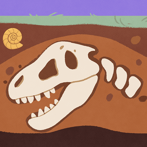 Fossils