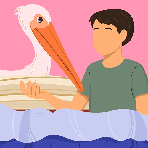 Storm Boy topic cover