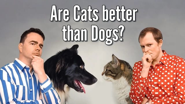 Cats or Dogs