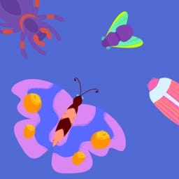 Minibeasts