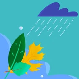 Weather