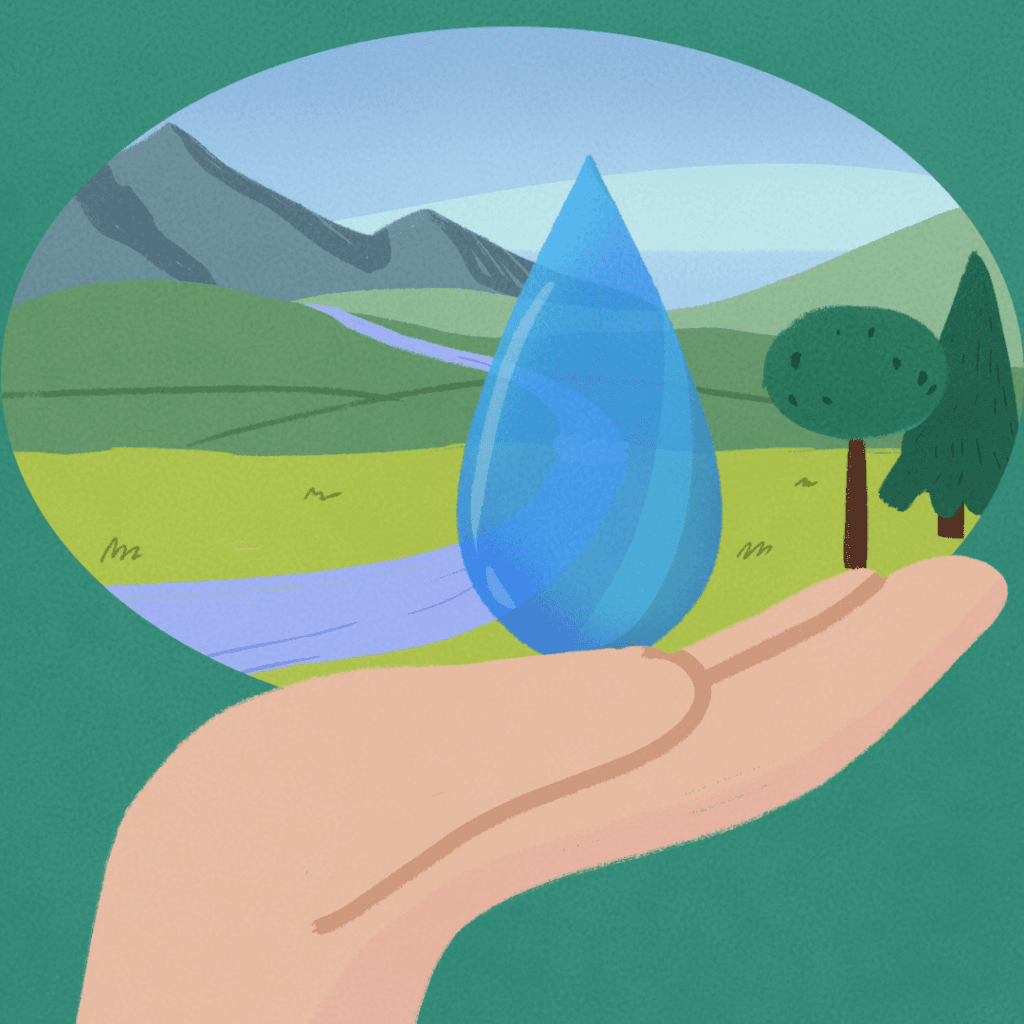 Valuing And Managing Water