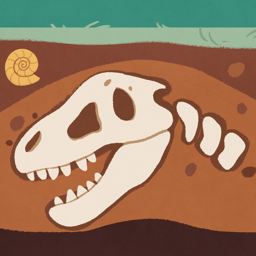 fossils