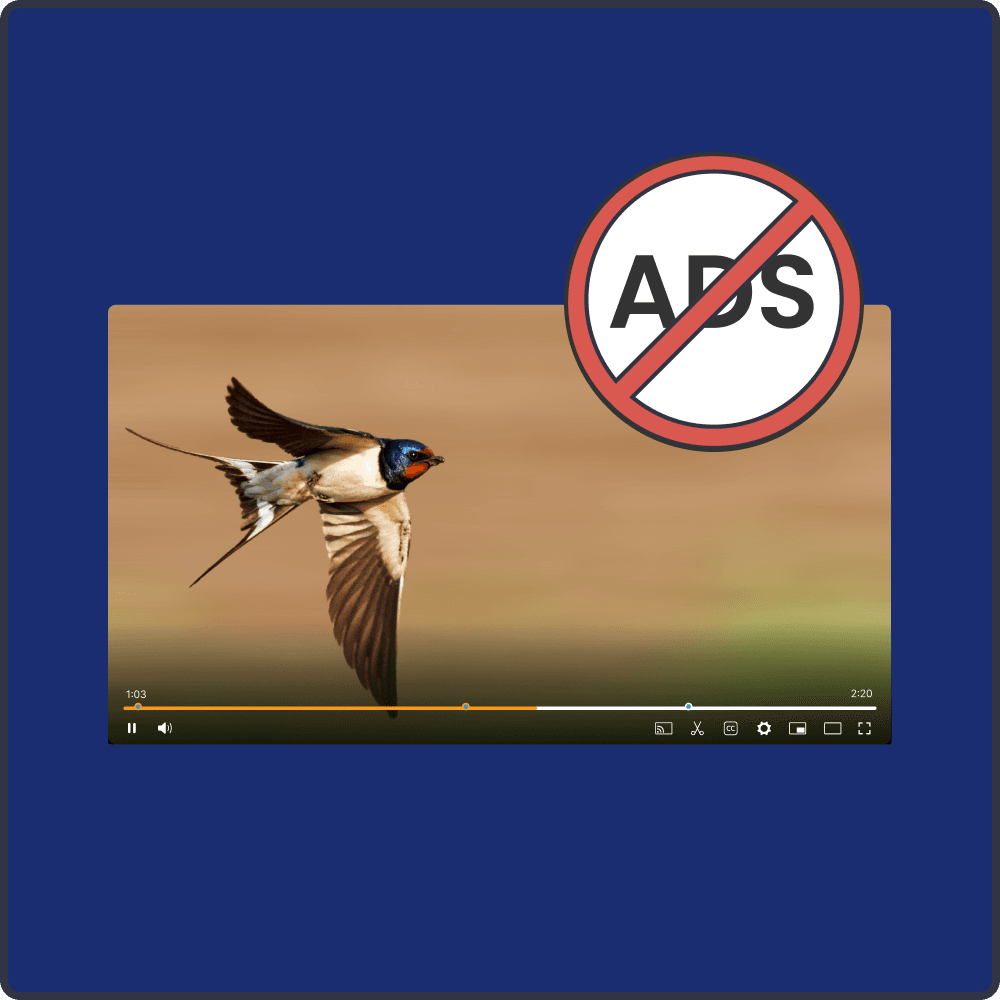 Ad-free and vetted 