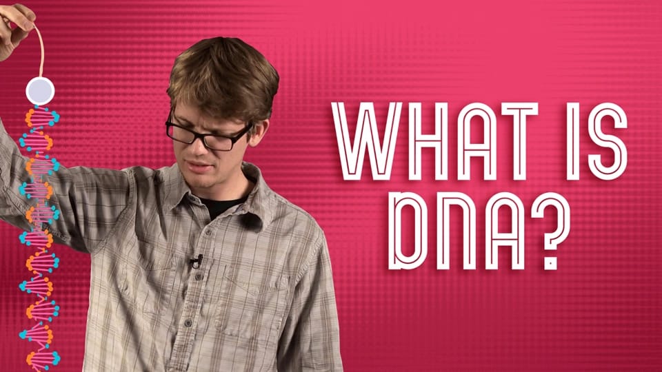 DNA Structure and Replication video