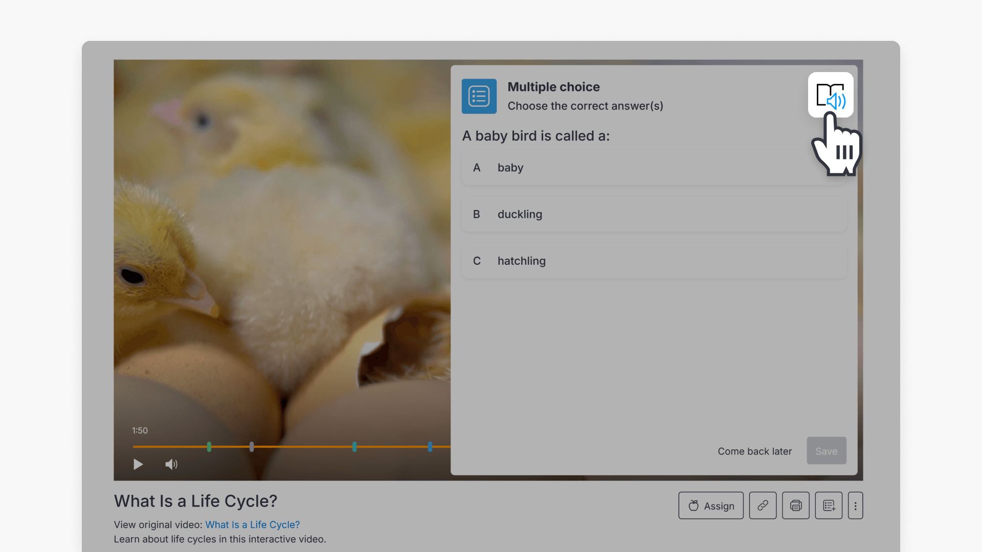 Immersive Reader icon highlighted in an Interactives