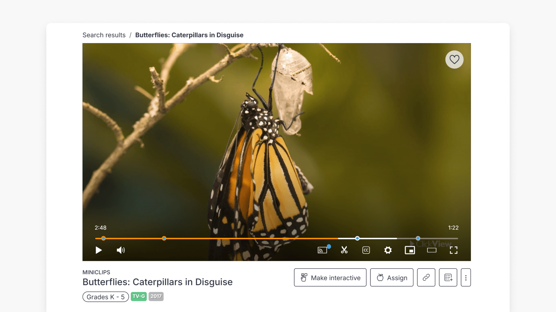 A video of a butterfly