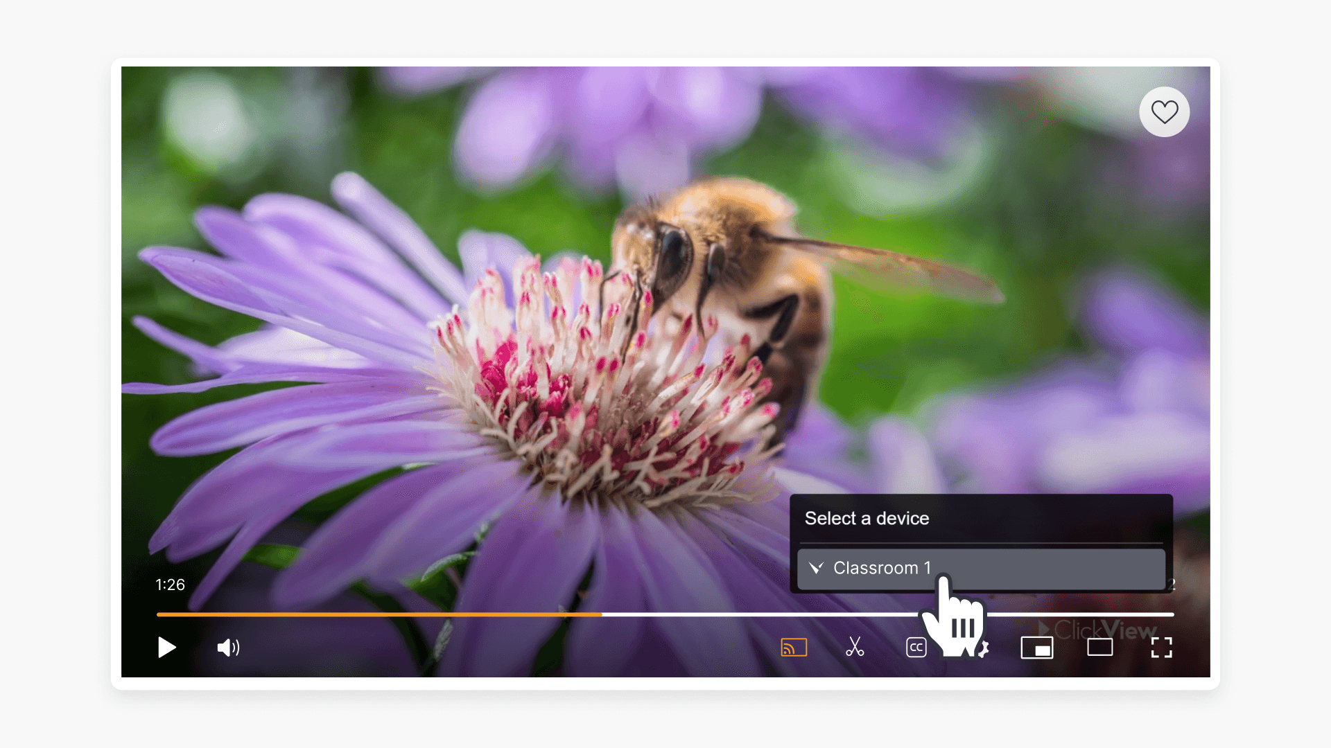 Use the cast option in the ClickView video player to cast videos with Vivi