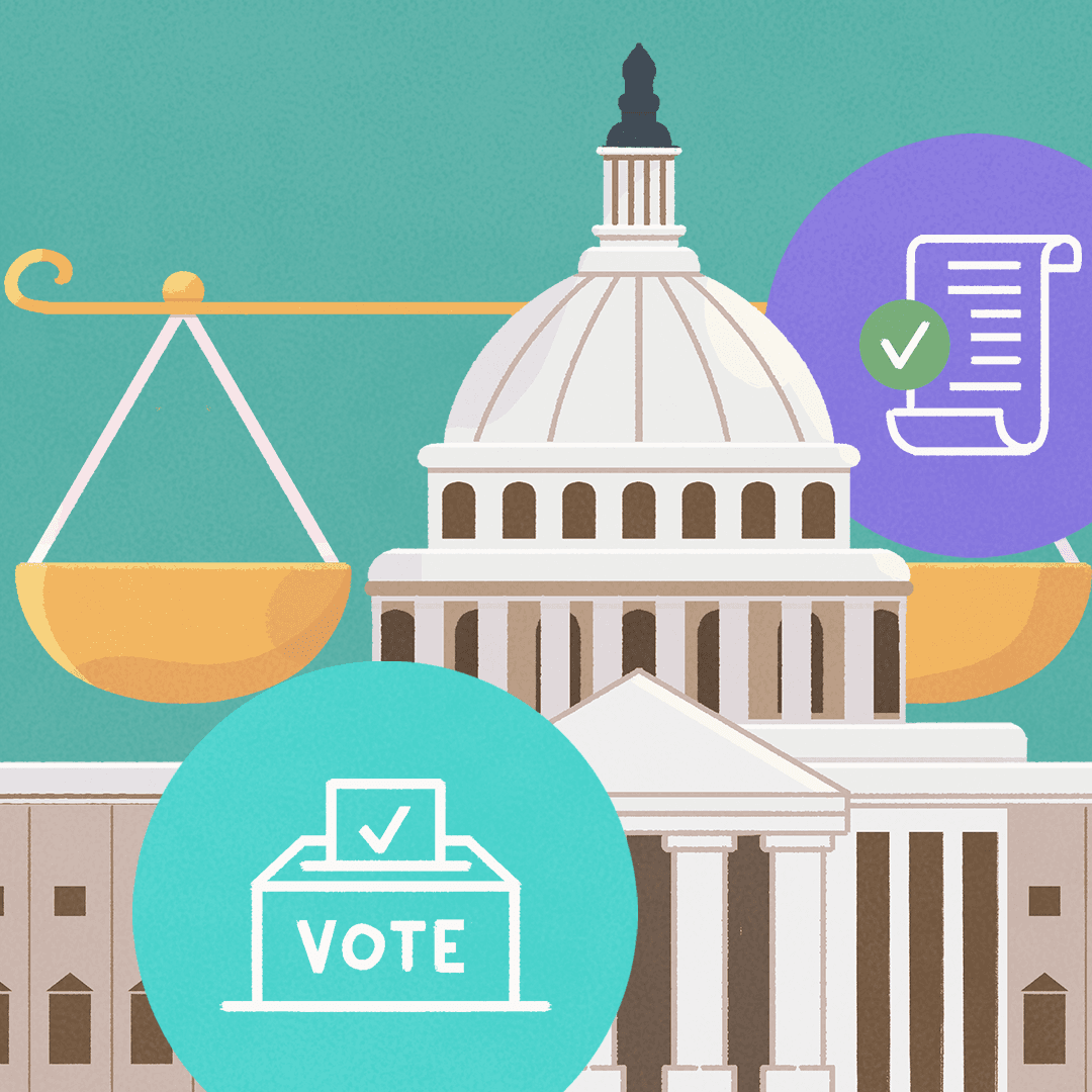 The Legislative Process in Action