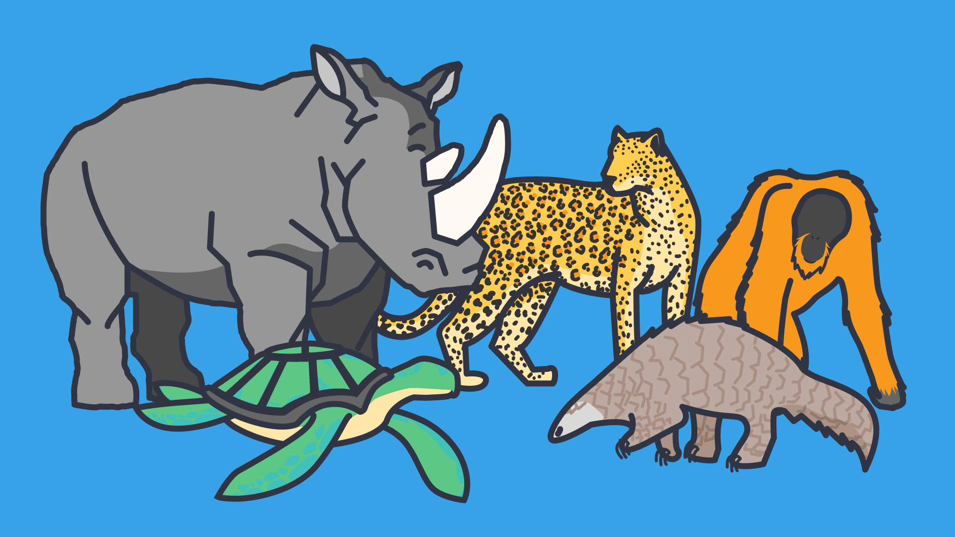 An illustration of a rhino, cheetah, turtle, orangutan and ant eater on a blue background