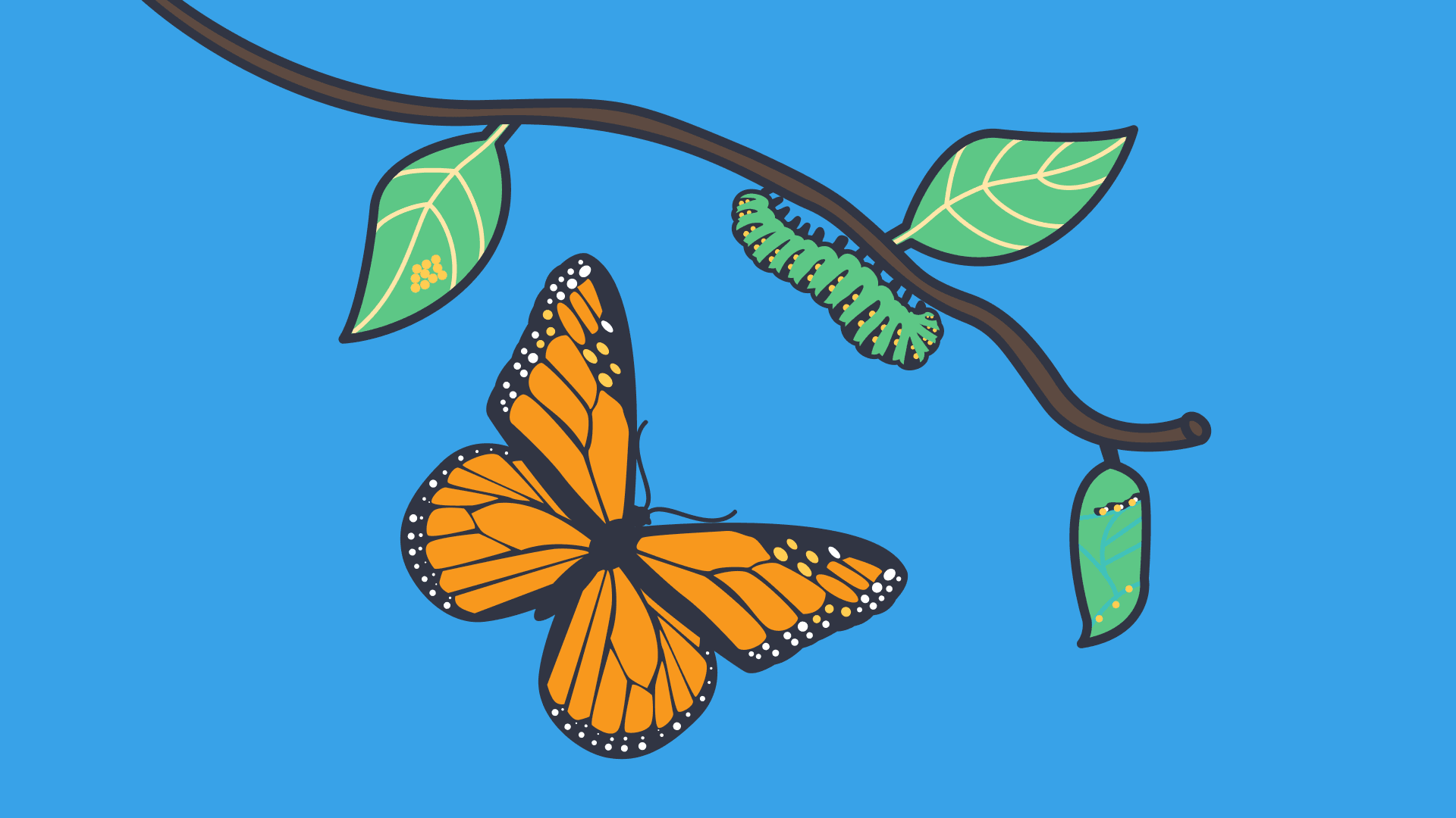 An illustration of an orange butterfly and a green caterpillar on a branch with leaves